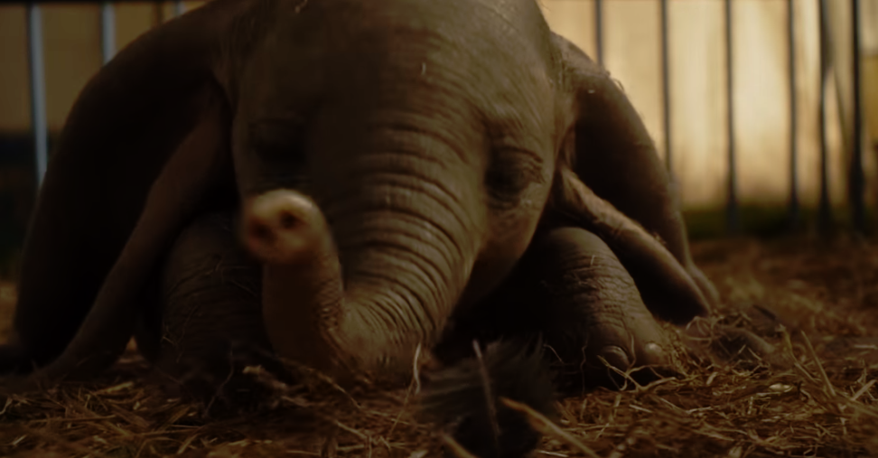 Megérkezett az élőszereplős Dumbo mozi első előzetese